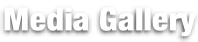 Media Gallery